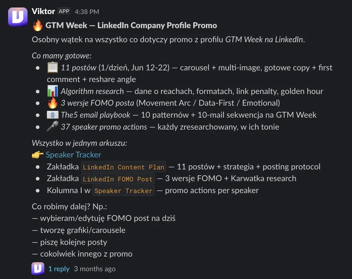 Viktor's summary of the LinkedIn company page promo plan with formats and cadence