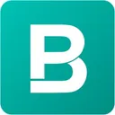 Bigpicture.io logo