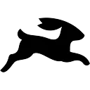 Directus logo