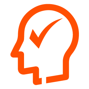 Lead Identity Check logo