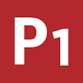 PingOne logo