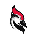 Woodpecker.co logo