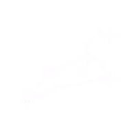 Leonis Capital